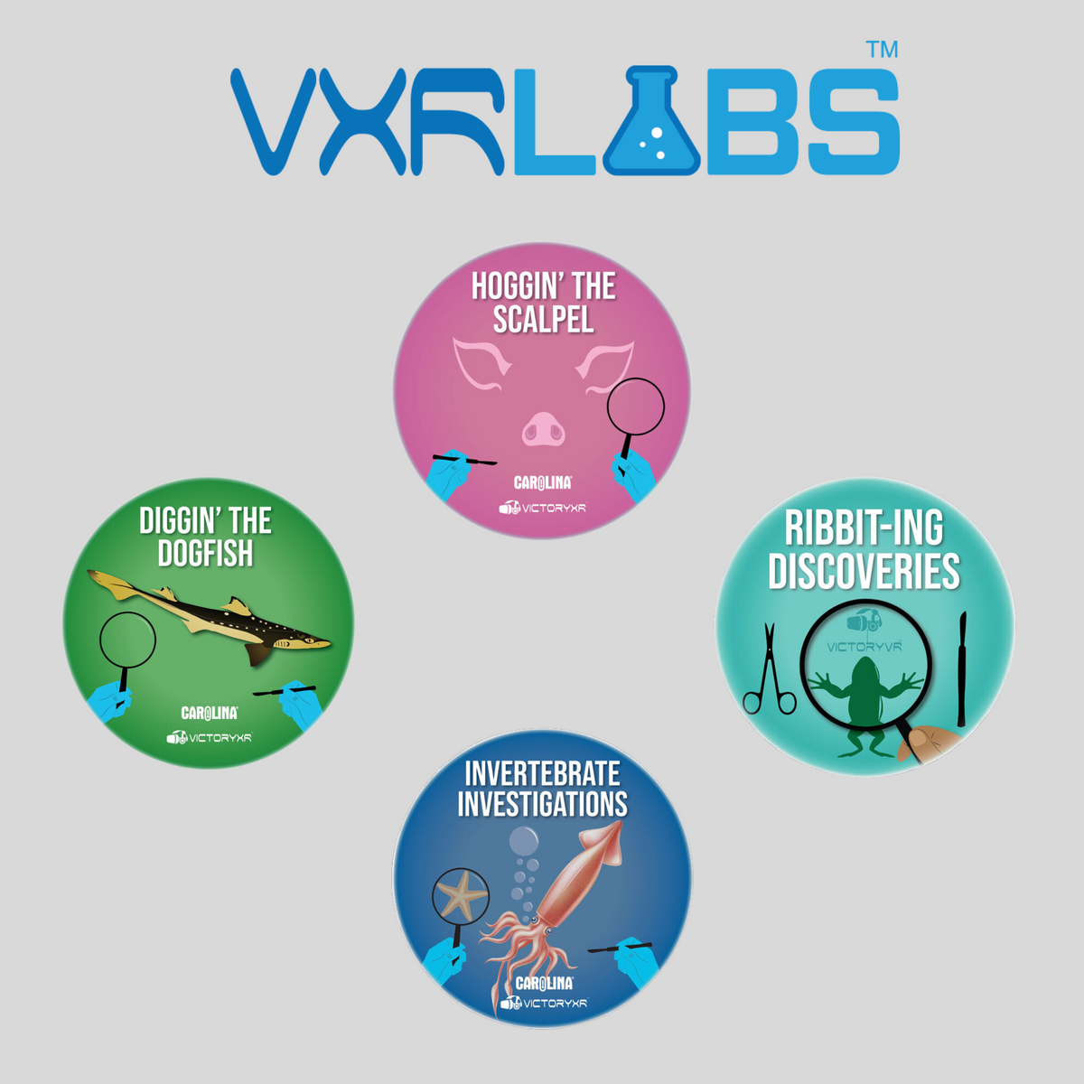 VXRLabs dissection add-on graphic: frog, squid, sea star and dogfish