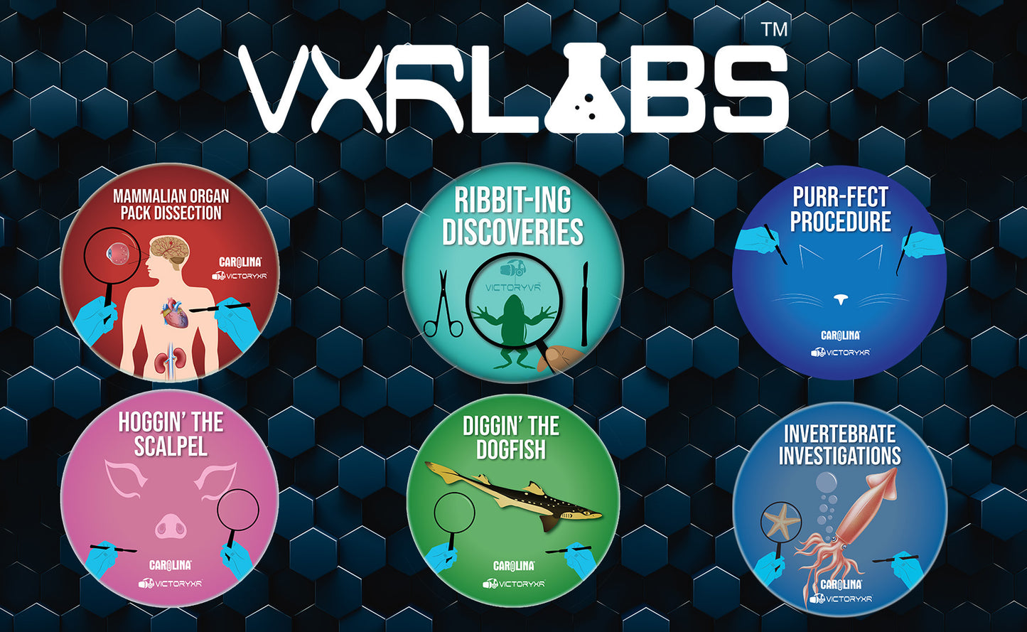 VXRLabs License with Dissection Add-On Content + Meta Quest Headset