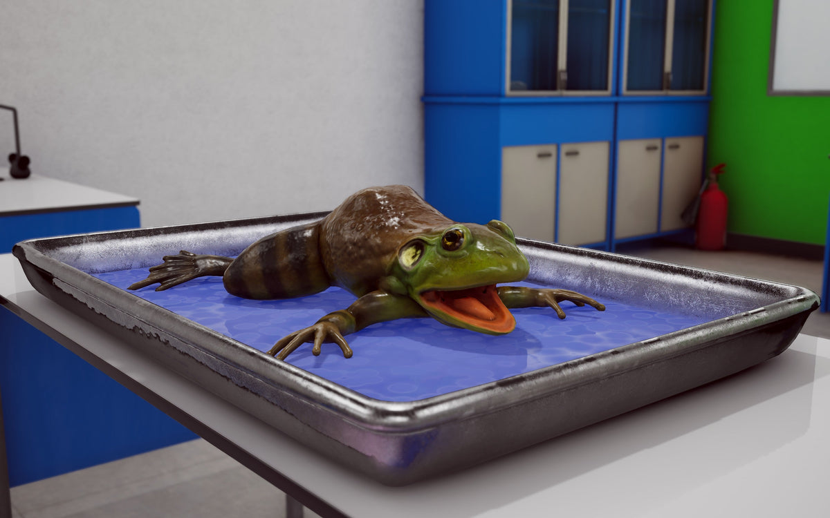 Frog on a dissection tray in the VXRLabs virtual lab