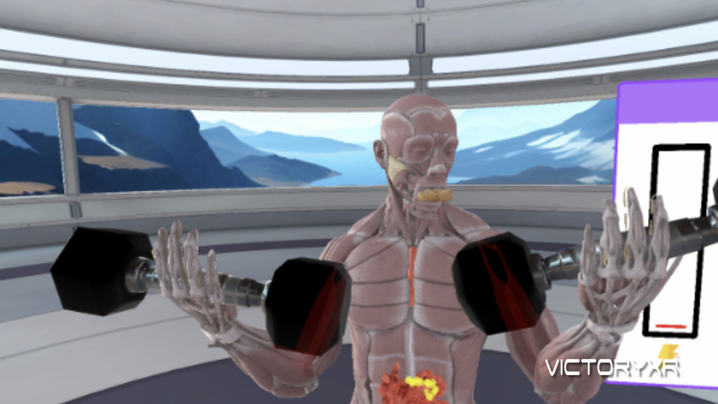 VXRLabs License with Immersive History: Herod's Temple Add-On Content + Meta Quest Headset