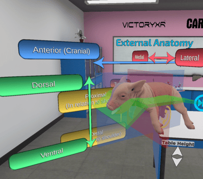 Deployment Pack Bundle (Military Homeschool)