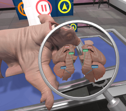 VXRLabs License with Dissection Add-On Content + Meta Quest Headset