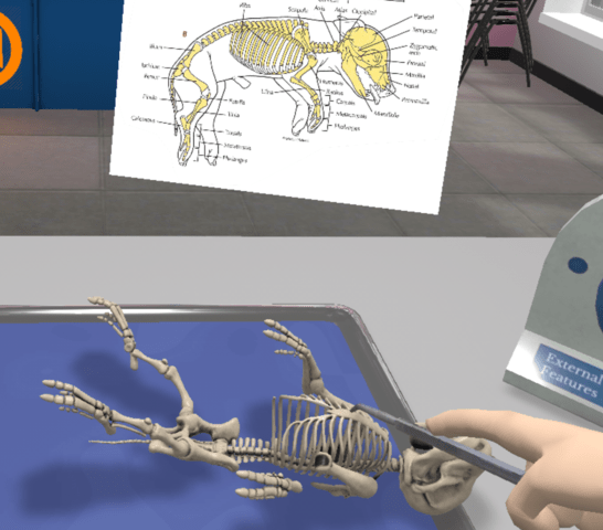 Deployment Pack Bundle (Military Homeschool)