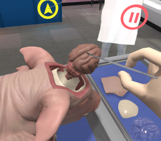 Deployment Pack Bundle (Military Homeschool)