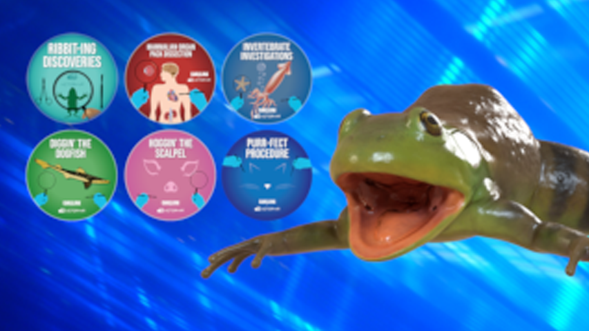 Deployment Pack Bundle (Military Homeschool)