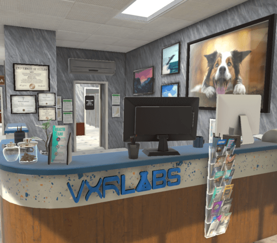 VXRLabs License with CTE Add-On Content