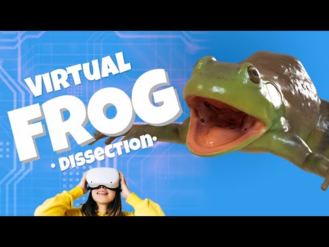VR frog dissection in VXRLabs