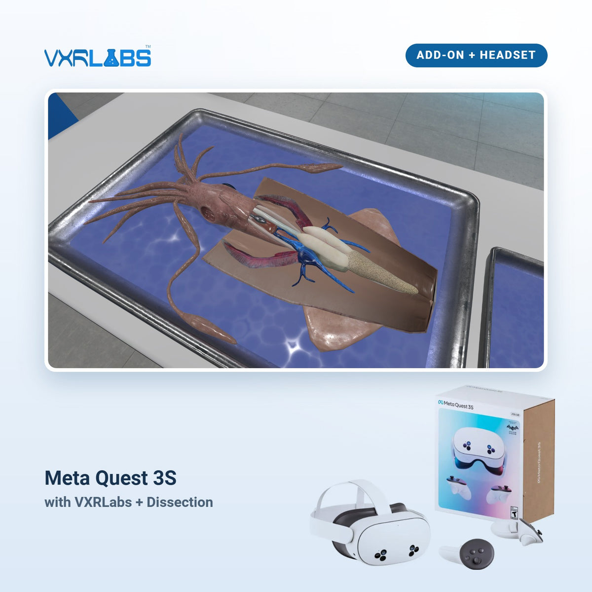 VXRLabs License + Dissection Add-On + Meta Quest 3S