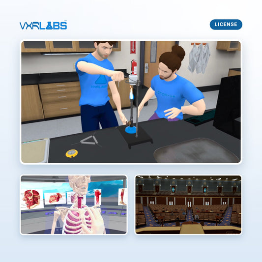 VXRLabs License