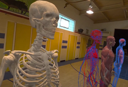 A mixed reality anatomy lesson with a life-size skeleton
