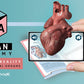 Human Anatomy - Augmented Reality (AR) Book - Teacher Edition