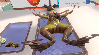 VXRLabs License with Dissection Add-On Content + Meta Quest Headset