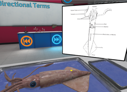 VXRLabs License with Dissection Add-On Content + Meta Quest Headset